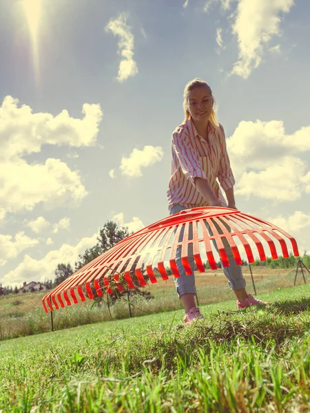 Unusual angle of woman raking leaves using rake. Person taking care of garden house yard grass. Agricultural, gardening equipment concept.