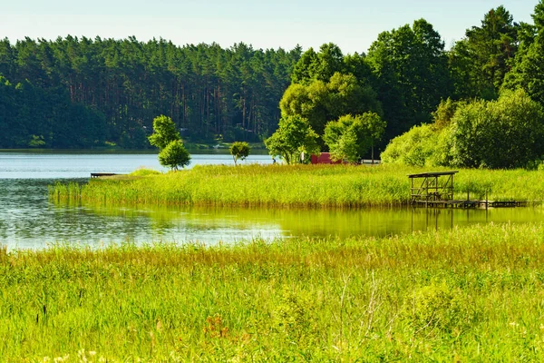 Lac Mazurie Lac Pologne Rivage Eau Envahi Par Des Roseaux — Photo