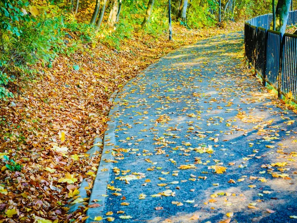 Blick Von Der Brücke Park Bei Herbstwetter Goldene Blätter Orangefarbene — Stockfoto