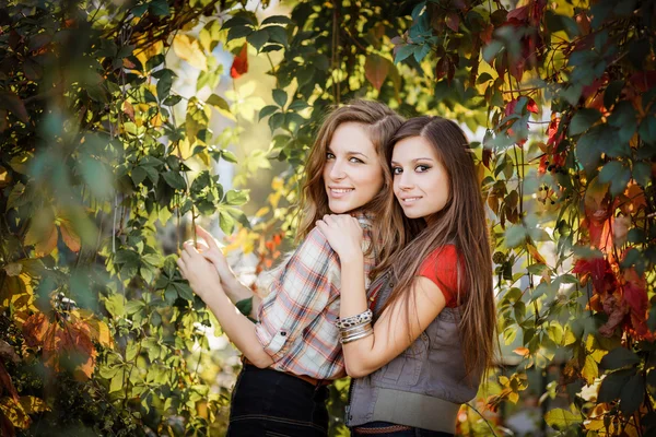 Duas mulheres e uvas selvagens — Fotografia de Stock