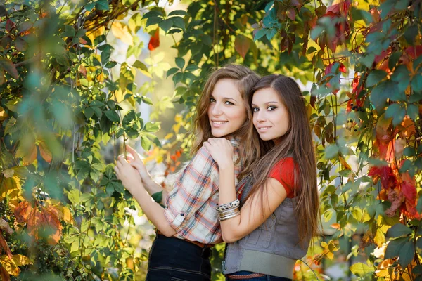 Two women and wild grapes — Stock Photo, Image