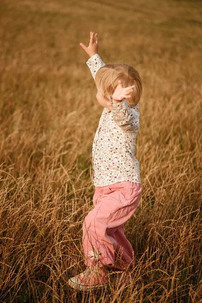 Little girl in the field — Stock Photo, Image