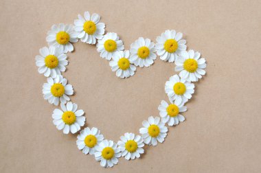 papatya, kalp, papatya desen