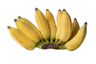 Ripe yellow bananas isolated on white background with clipping paths