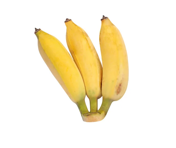 Cultivated Banana Isolated White Background Clipping Paths Ripe Yellow Banana — Zdjęcie stockowe