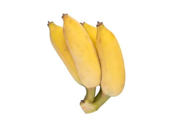 Cultivated Banana Isolated White Background Ripe Yellow Banana White Backgrounds — Zdjęcie stockowe