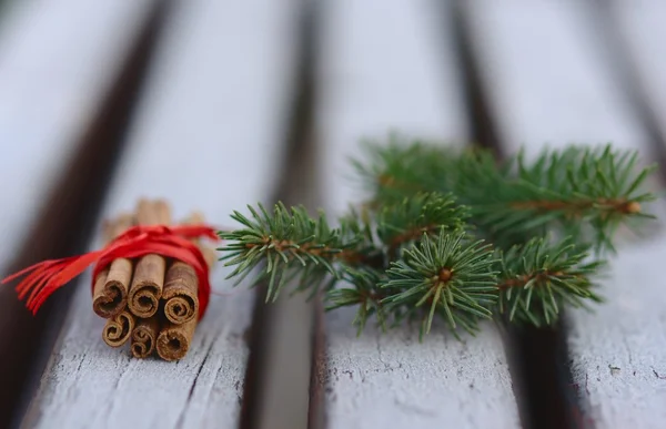Cinnamon sticks and fir branches — Stock Photo, Image