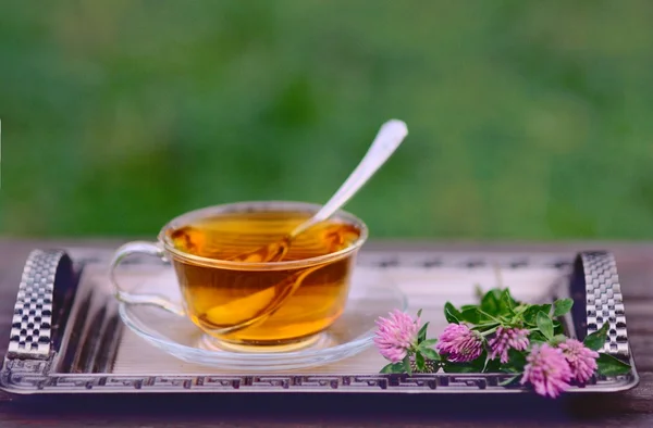 Taza de té de hierbas con flores de trébol rosa — Foto de Stock