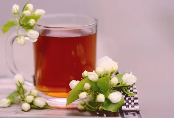 Taza de té con rama de manzano floreciente — Foto de Stock