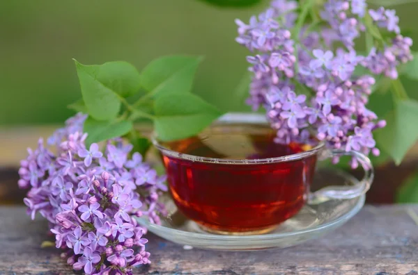 Herbal tea with lilac — Stock Photo, Image