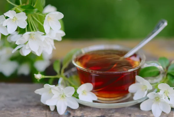 Taza de té de hierbas con flor de manzano — Foto de Stock