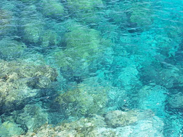 Taşlar berrak deniz suyunun altında