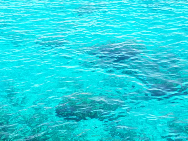 Pietre sotto acqua di mare limpida — Foto Stock