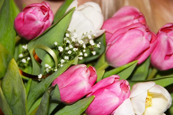Аромат розовых и белых тюльпанов — стоковое фото