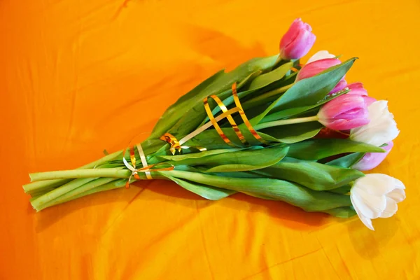 Bukiet różowych i białych tulipanów — Zdjęcie stockowe