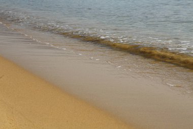 Deniz dalgaları altın kumda