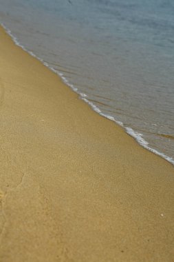 Deniz dalgaları altın kumda