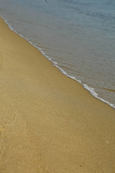 Deniz dalgaları altın kumda