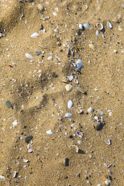 Beautiful Sea Background Sand — Stock Photo, Image