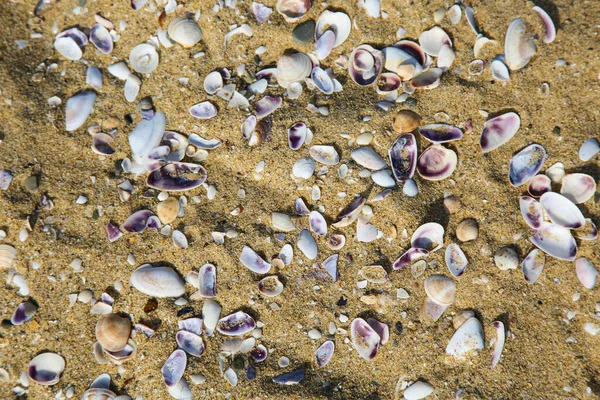 Beautiful Sea Background Sand — Stock Photo, Image