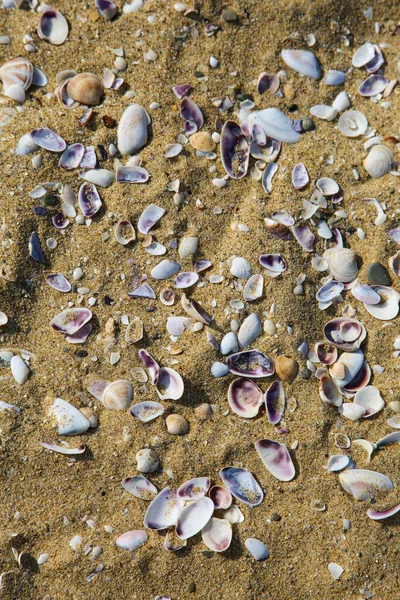 Прекрасний Морський Фон Піску — стокове фото