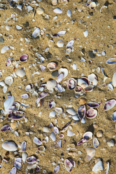 Prachtige Zee Achtergrond Het Zand — Stockfoto