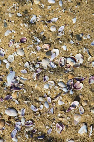 Prachtige Zee Achtergrond Het Zand — Stockfoto