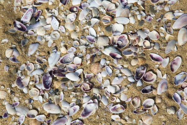 Prachtige Zee Achtergrond Het Zand — Stockfoto