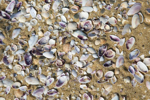 Beautiful Sea Background Sand — Stock Photo, Image
