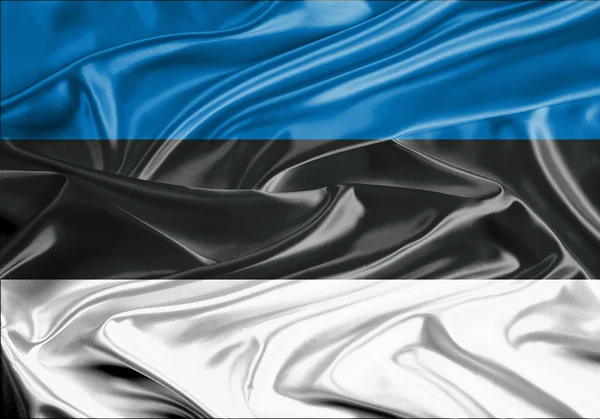 爱沙尼亚国旗 — 图库照片