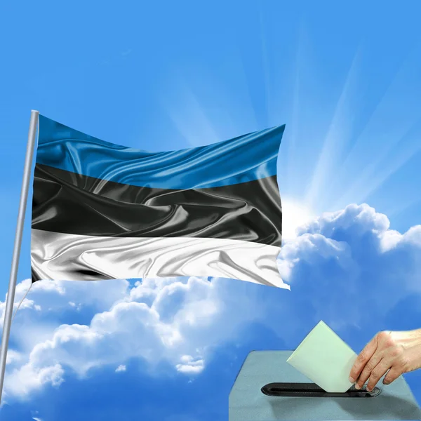 Flaggenwahl in Estland Stockbild
