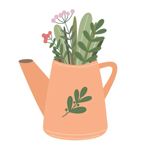 有浆果 花和香草在茶壶里的小枝 矢量图解 植物学 — 图库矢量图片
