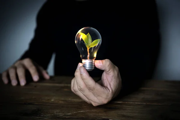 Man Hand Hålla Glödlampa Med Grön Energi Teknologi Hållbar Utveckling — Stockfoto