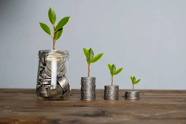 Schritt Der Münzstapel Mit Baumwachstum Oben Geld Sparen Und Investition — Stockfoto
