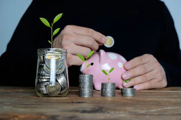 Plantas Estão Crescendo Frascos Com Conceito Moedas Para Economizar Dinheiro — Fotografia de Stock