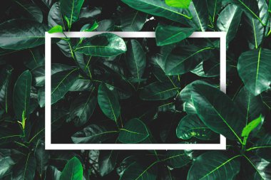 Çiçeklerden ve kağıt kart notlu yapraklardan oluşan yaratıcı bir düzen. Düz yatıyordu. Doğa konsepti