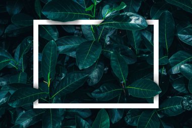 Çiçeklerden ve kağıt kart notlu yapraklardan oluşan yaratıcı bir düzen. Düz yatıyordu. Doğa konsepti