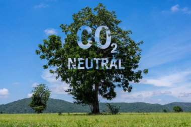 Ağaç gövdesinde CO2 nötr yazıyor, karbon nötr kavramı. CO2 Ağ Sıfır Emisyonu