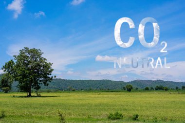 Karbondioksit kelimesine benzeyen bir bulut yarat. Karbondioksit seviyesini düşürüyorum. Karbondioksit seviyesindeki düşüşün grafiği. Alternatif enerji, 