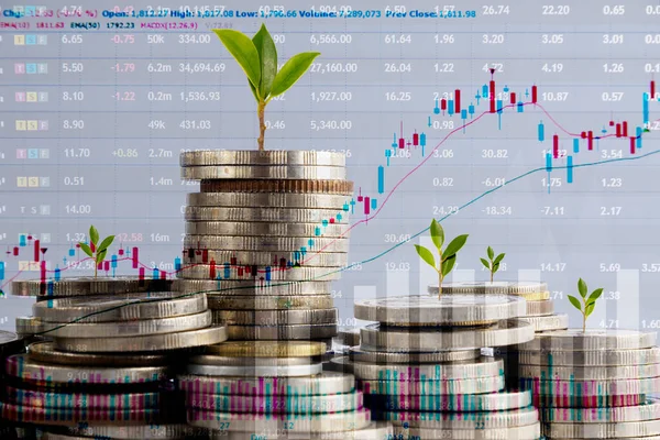 Doppia Esposizione Grafici File Monete Finanza Concetto Business Crescere Denaro — Foto Stock