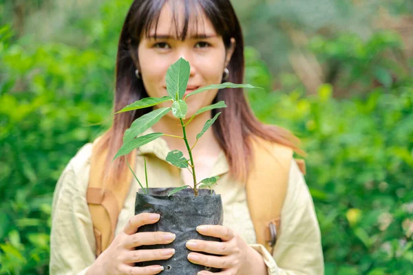 Mladá Žena Drží Zelenou Rostlinu Která Roste Půdě Anonymní Organická — Stock fotografie