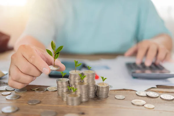 Businessman Holding Coin Tree Grows Tree Grows Pile Money Idea — Stock Photo, Image