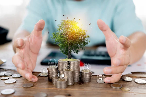 A businessman holding a coin with a tree that grows and a tree that grows on a pile of money. The idea of maximizing the profit from the business investment.
