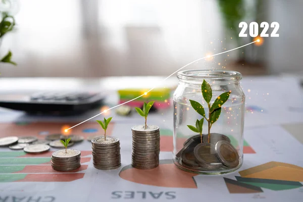 Seedlings Growing Coin Comparing 2021 2022 Growth New Year 2022 — Stockfoto