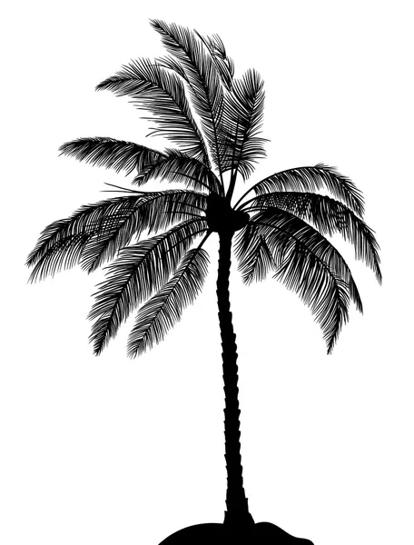 Palmtree черный — стоковый вектор