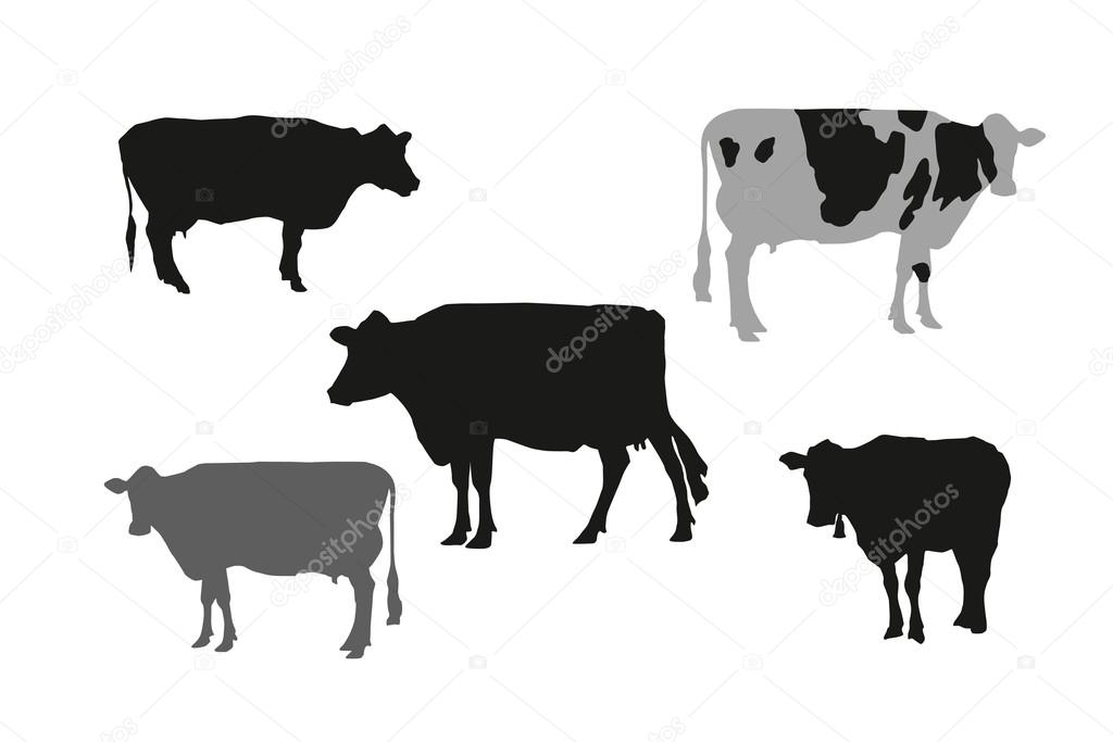 Cow_silhouettes