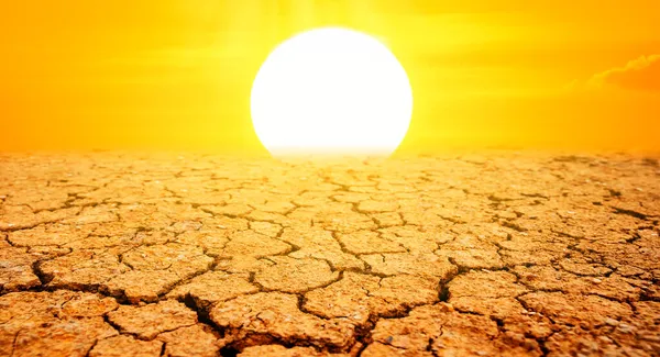 Omáčené Slunce Zemi Velmi Suché — Stock fotografie