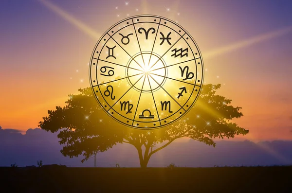 Signos Del Zodíaco Dentro Del Círculo Del Horóscopo Concepto Astrología — Foto de Stock