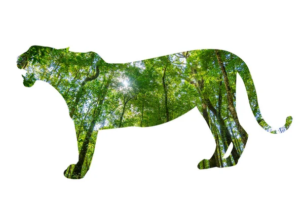 Tiger World Wildlife Day Erdő Sziluett Formájában Vadon Élő Állatok — Stock Fotó