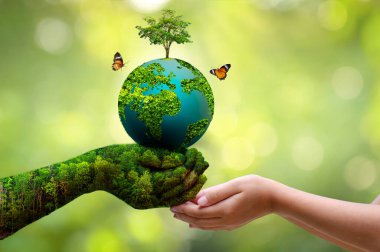 Kavram Dünyayı kurtar Çevreyi kurtar Dünya yeşil bokeh arka planının çimlerinde